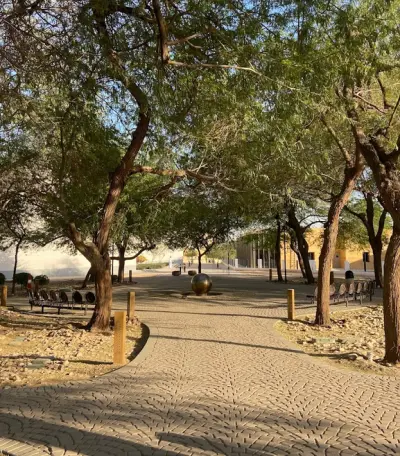 حديقة حجر